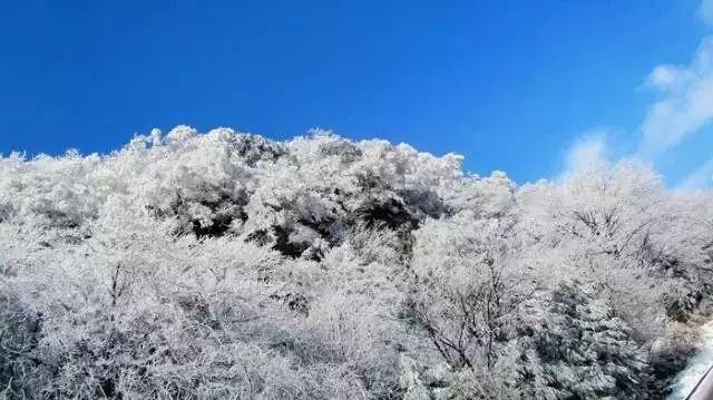 标本零怎么创房间游戏画面