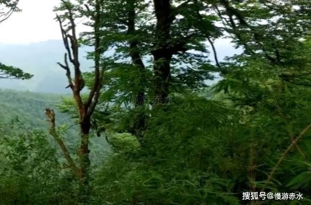 世界杯换装